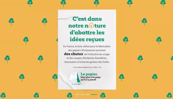Papier et environnement : forêts