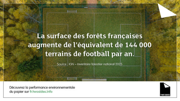 La forêt française continue de grandir, mais sa santé reste fragile | Sustainable Paper Packaging & Print | TwoSide